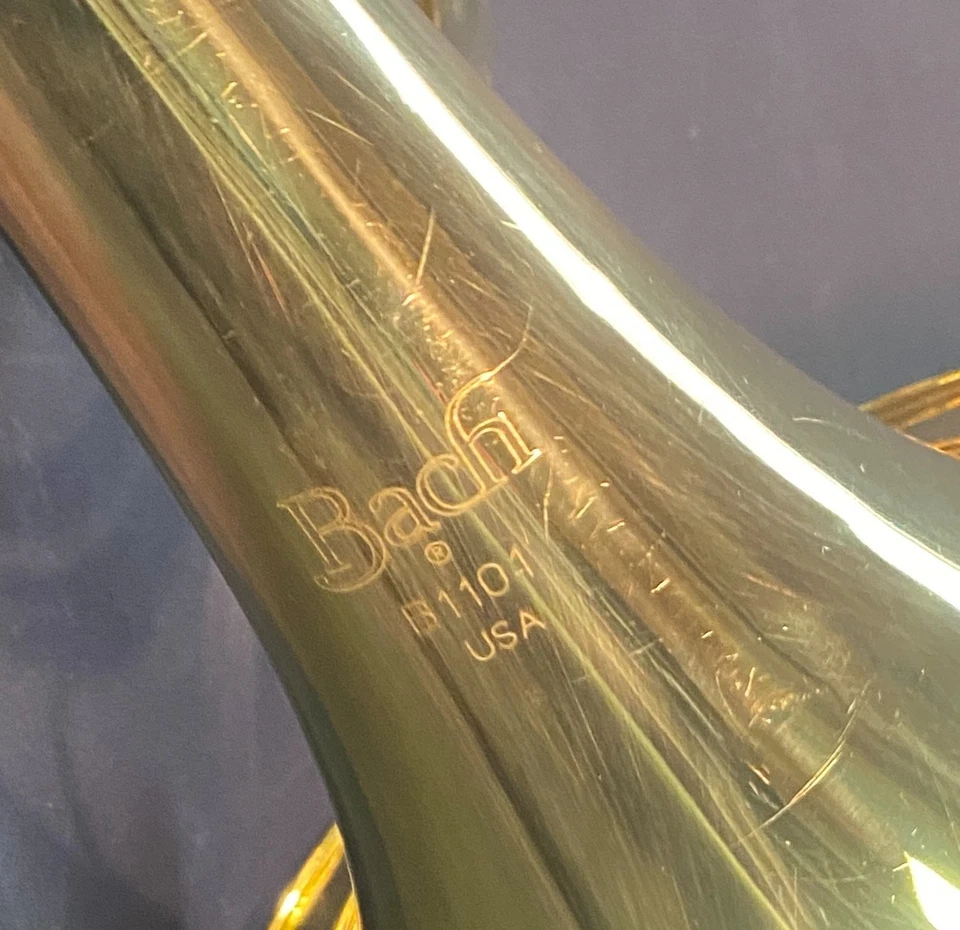 Cuerno Francés ESTUDIANTE DE BACH EN EXCELENTE ESTADO USADO Serie #976094 Foto 4 de 4