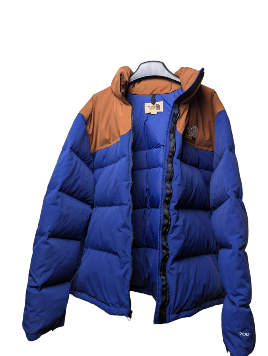 ダウンジャケット Gucci x The North Face Down Jacket Blue/Brown FW21 2021 s-l1200.png