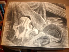Vintage Original Drawing "Still Life With Skull" William Gropper (1940's)