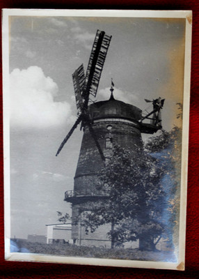 57896 großes Foto Windmühle windmill vermutlich um 1940 Naumburg