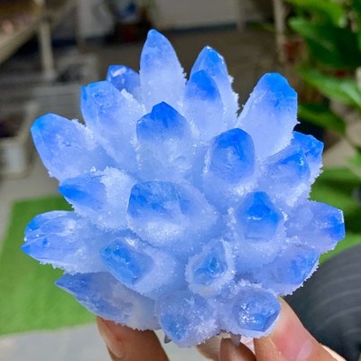 464G New Find BLUE PhantomQuartz Crystal Cluster MineralSpecimen