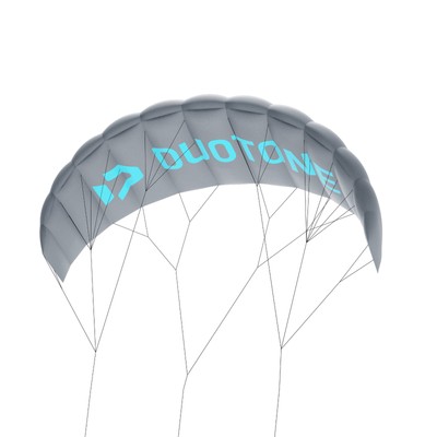 Duotone Lizard 2,5 qm Traininerkite Lenkdrache 2-Leiner