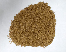 Edible Carrot Seeds Gajar K Beej Indian herb -FREE SHIPPING-50gm