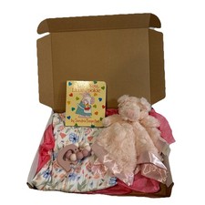 Baby Girl Baby Shower Gift Box, I Love Little Pookie Book, Pig Lovey And Outfit