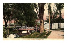 Postcard: ECTRIC CARS PARTS OF CITY Rustic Bridge, Eldridge Park, Elmi