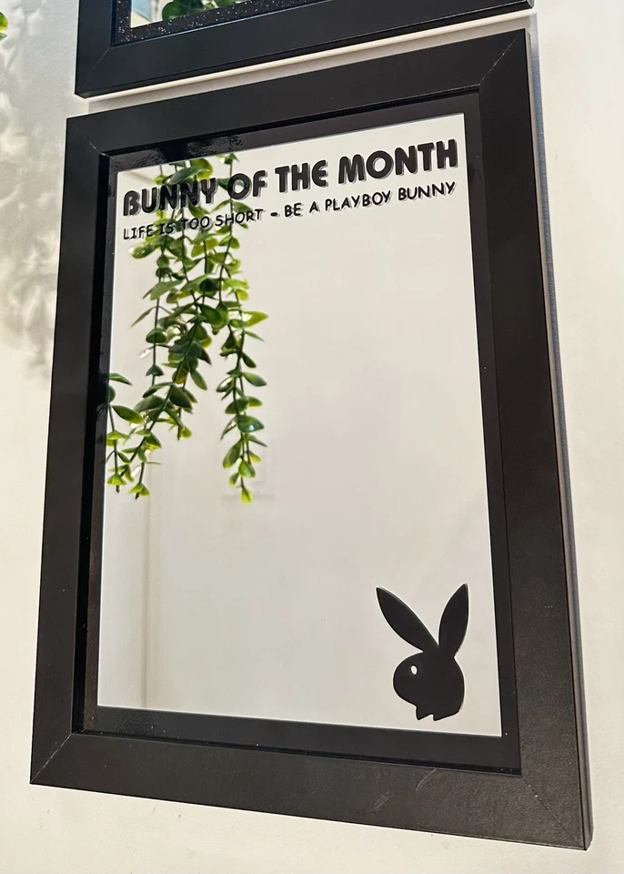 Playboy Mirror Pink Color, 10x12 Wood Framed Glass Mirror - Image 2 of 4