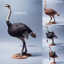JXK 1/6 Ostrich Model Struthio Camelus Animal Collector Decor Kids Gift Painted
