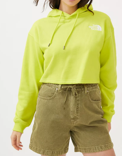The North Face Logo Cropped Hoodie 