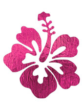 HAWAIIAN FLOWER Hibiscus Floral Plant 8 x 10 Stencil Plastic Sheet NEW S616