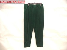 NWT - Wild Fable Women's Green Velour High-Rise Jogger, Size L 195994613135