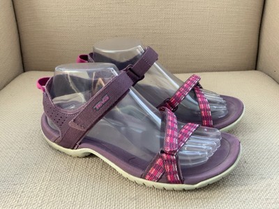 teva verra purple orchid