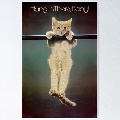 Hang In There Cat Motivational Vintage Poster