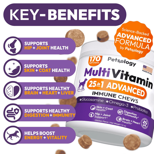 Dog Multivitamin Chewable Vitamins Supplements with Glucosamine 170 Chews - Picture 2 of 8