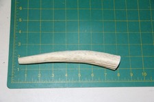 Small Upper Elk Antler Dog Chew 9 / bone chews moose treats deer 1106