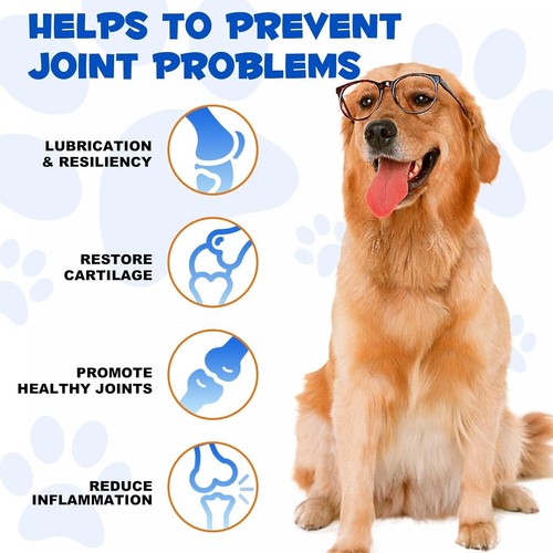OBNOSWLPJMN Pain Relief For Dogs Arthritis, Pain Relief Dog Joint Aid & Reli... - Picture 5 of 7