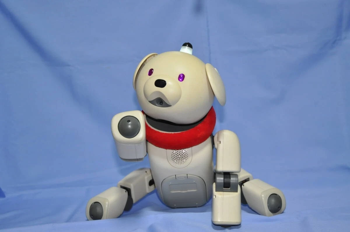 Aibo ers best sale 311
