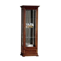 Vitrinenschrank Vitrine Glasschrank Schrankvitrine Regalvitrine Schrankregal
