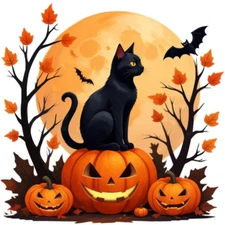 30 Custom Halloween Night Black Cat Personalized Address Labels