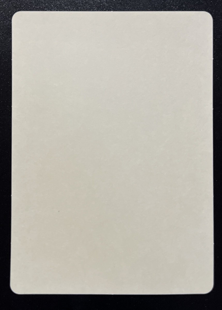 Pikachu Spring Sticker Card Let's Have Fun Japanese Pokemon Promo