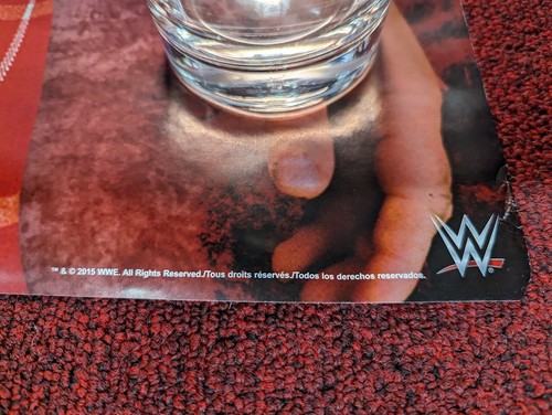 WWE WWF 1985 Rowdy Roddy Piper Poster 28X20 Made by Trends Int. WCW Wrestling - Picture 3 of 5