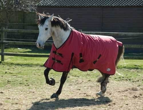 Equestrian Essentials Coperta Da Turnout 1200D, 50g