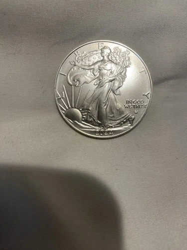 2024 US American Silver Eagle 1 Troy Oz .999 Fine Silver Uncirculated NM-M?
