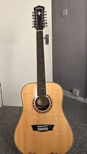 12 String Washburn Guitar