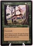 Leaf Dancer 249/350 Odyssey MTG NM