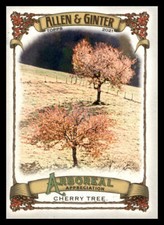 2021 Topps Allen & Ginter Cherry Tree #AA-8