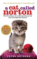 A Cat Called Norton Peter Gethers Taschenbuch Kartoniert / Broschiert Englisch