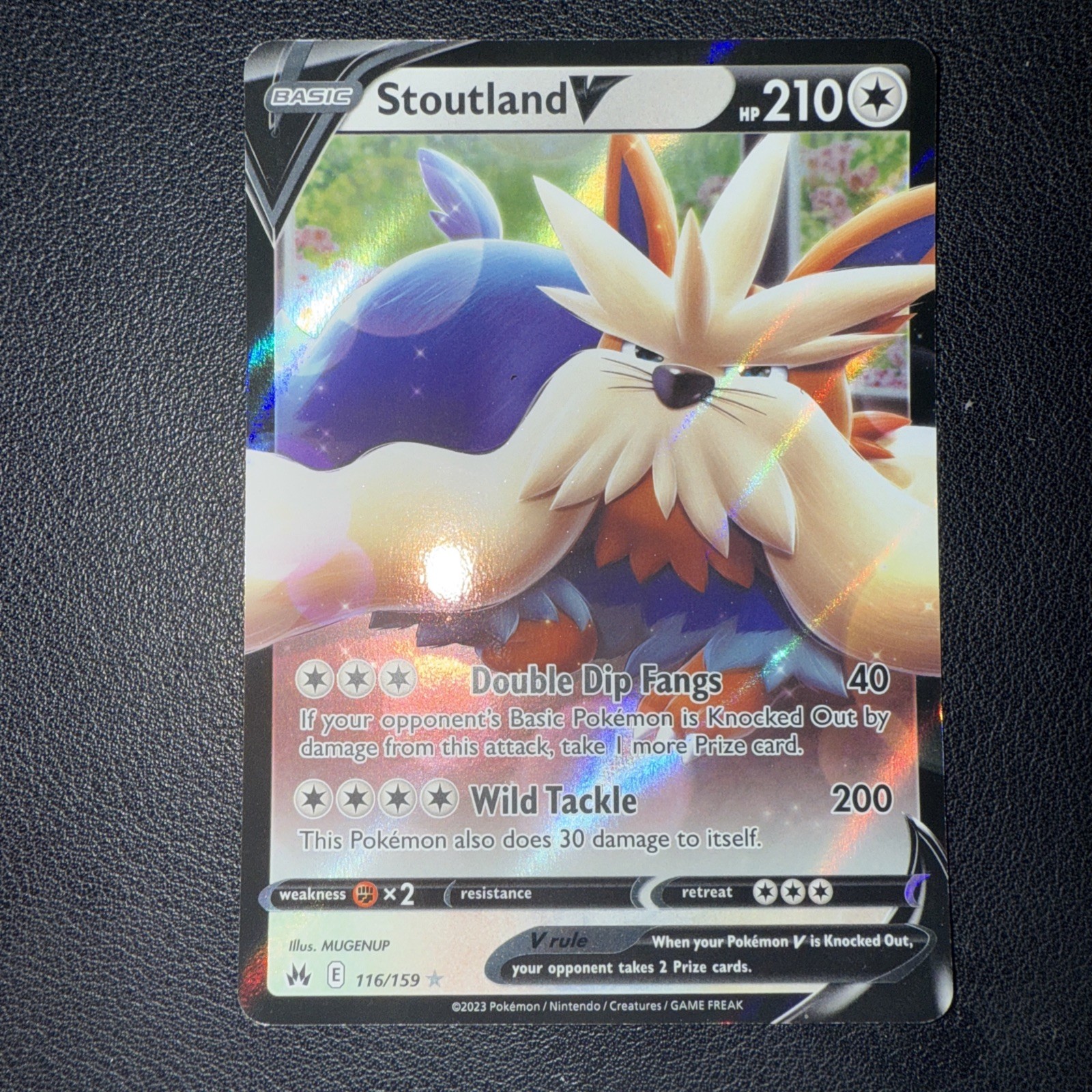 Stoutland V 116/159 - Pokemon Crown Zenith - Lightly Played Ultra Rare Holo