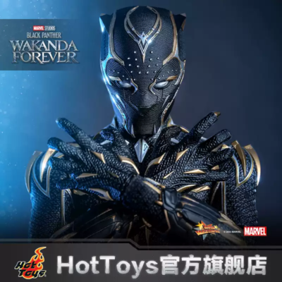 Hot Toys Black Panther - Black Panther: Wakanda Forever 1/6 MMS675