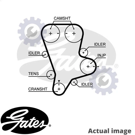 Kia 2025 timing belt