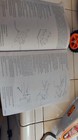 Bild 11 von 13