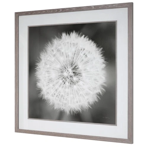 Uttermost 33711 Dandelion Seedhead 54" Square Black and White - White - Picture 6 of 8
