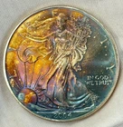 2004 American Silver Eagle $1 ASE Rainbow Toned Natural Toning 1oz .999 BU Coin