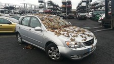 Moteur Kia CERATO
