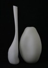 Foto 10 di 10