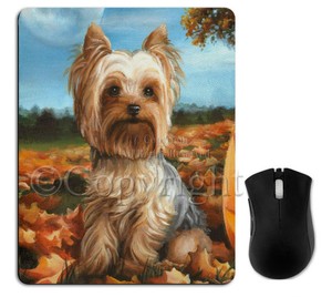 yorkie accessories