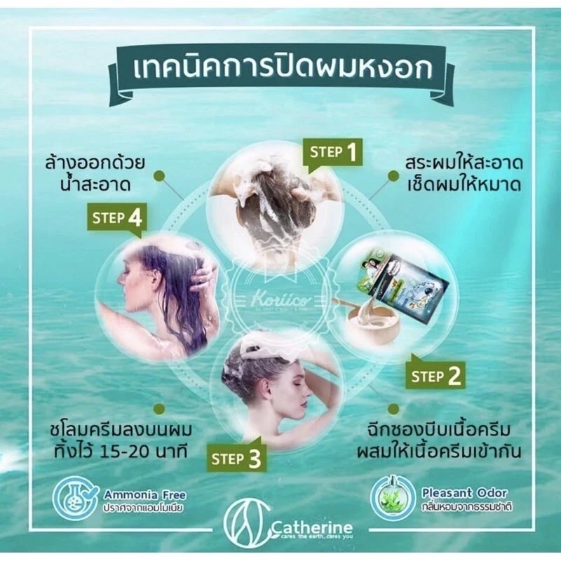 4x Champú Cubierta Cabello Gris Algas Marrón Claro Fórmula Concentrada Natural Extr Foto 3 de 4