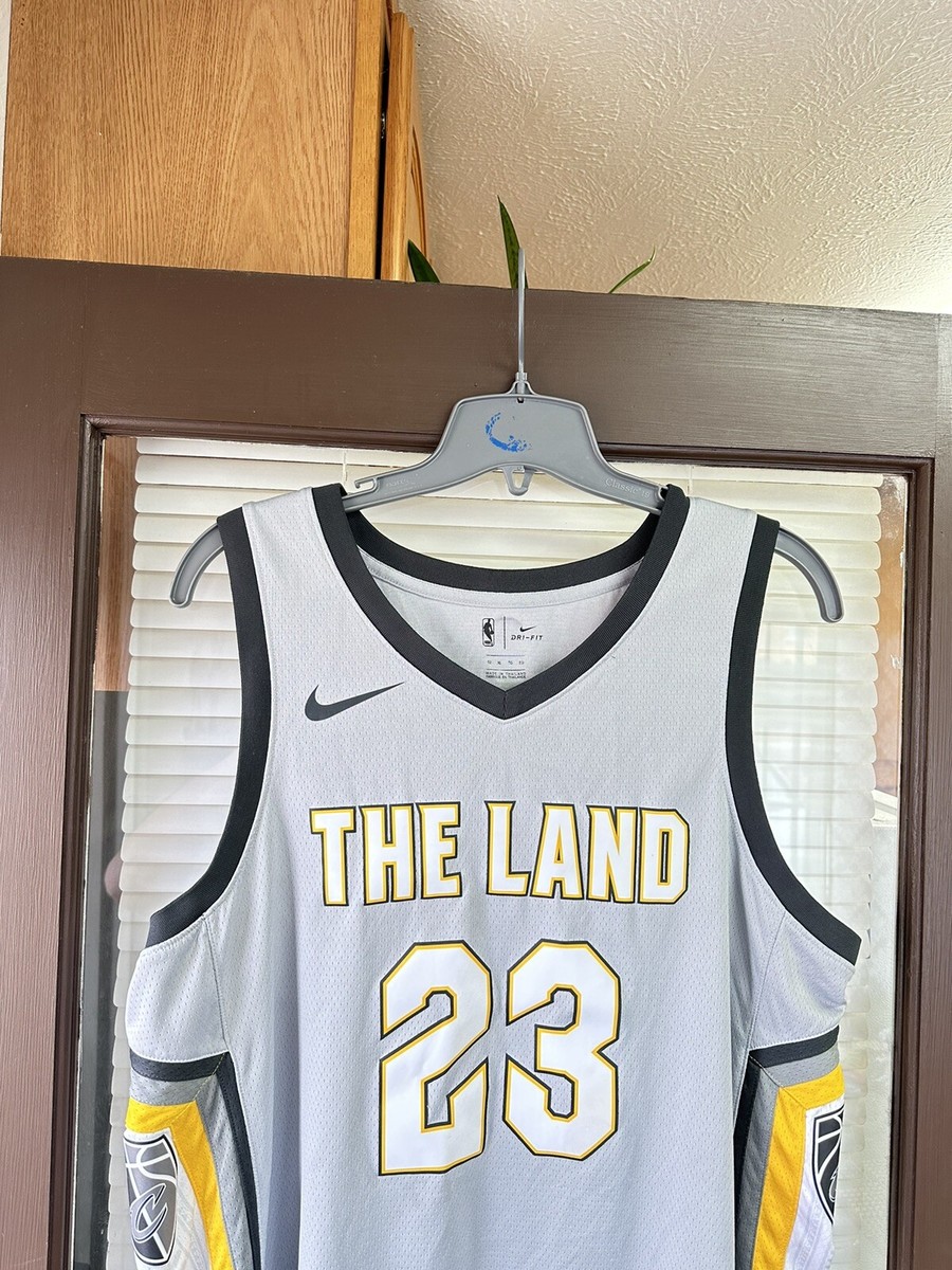 lebron james the land