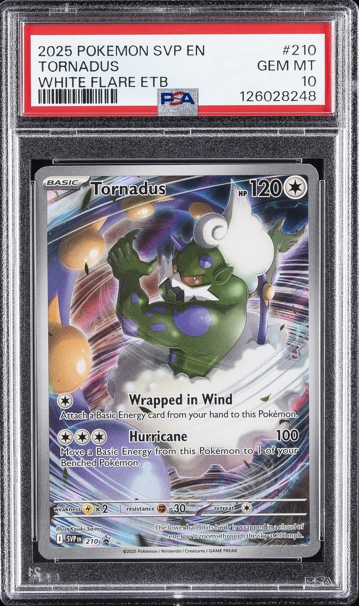 2025 POKEMON SVP EN-SV BLACK STAR PROMO #210 TORNADUS PSA 10 | eBay