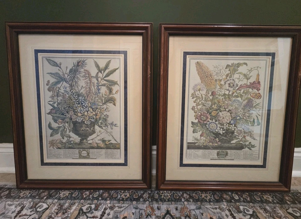 Robert Furber Vintage Estampa 12 Meses de Flores Janeiro e Agosto Lote de 2 Grandes - Imagem 2 de 4