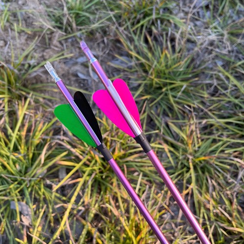 31'' Archery Pure Carbon Arrow Spine 400-1000 2'' Heart Natural Feather Shooting - Picture 2 of 13