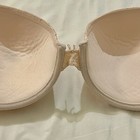 Picture 7 of 8