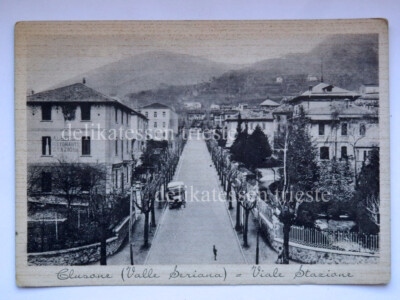 CLUSONE Bergamo Viale Station Valle Seriana old postcard