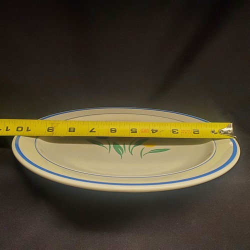 Freda by Fine China of China 10" modello piatto tulipano # NS8KI set di 7 - Foto 6 di 9