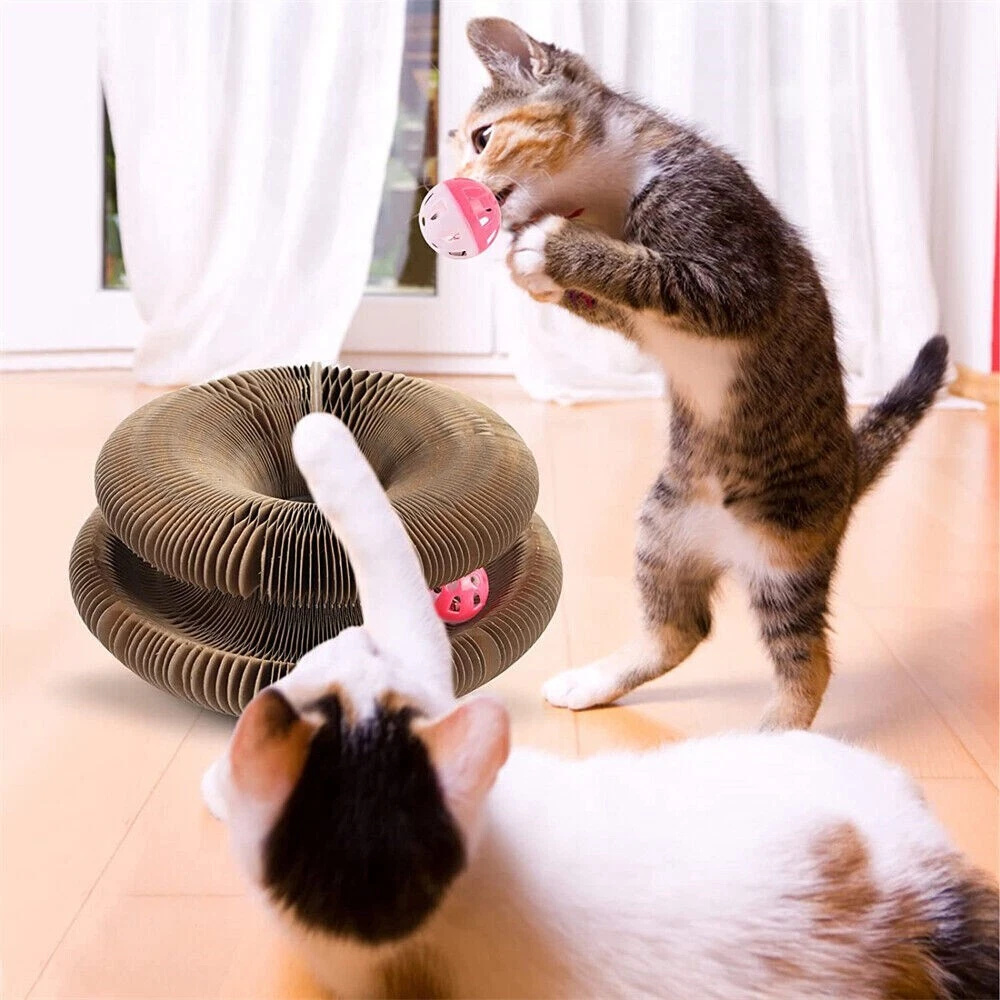 Cat 2024 scratching toy