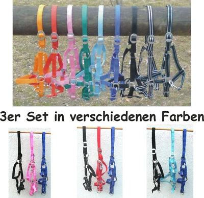 3er Set Halfter Weide **3 STÜCK ** WB/Full, VB/COB ,XX WB, Shetty *ABVERKAUF*
