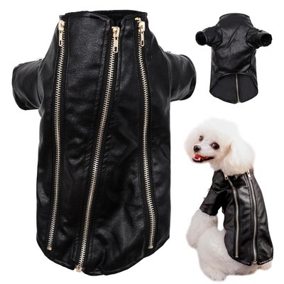 chihuahua leather jacket